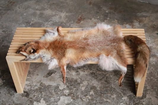 Angebot: 5x weiche Rotfuchswinterfelle  Ökologisch gegerbt (aus Deutschland)