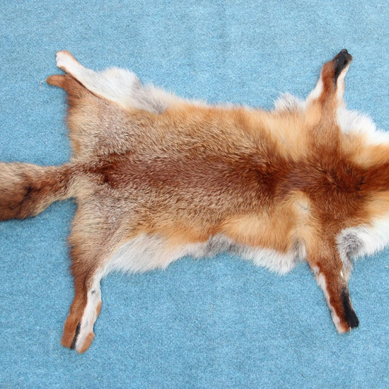 Angebot: 5x weiche Rotfuchswinterfelle  Ökologisch gegerbt (aus Deutschland)