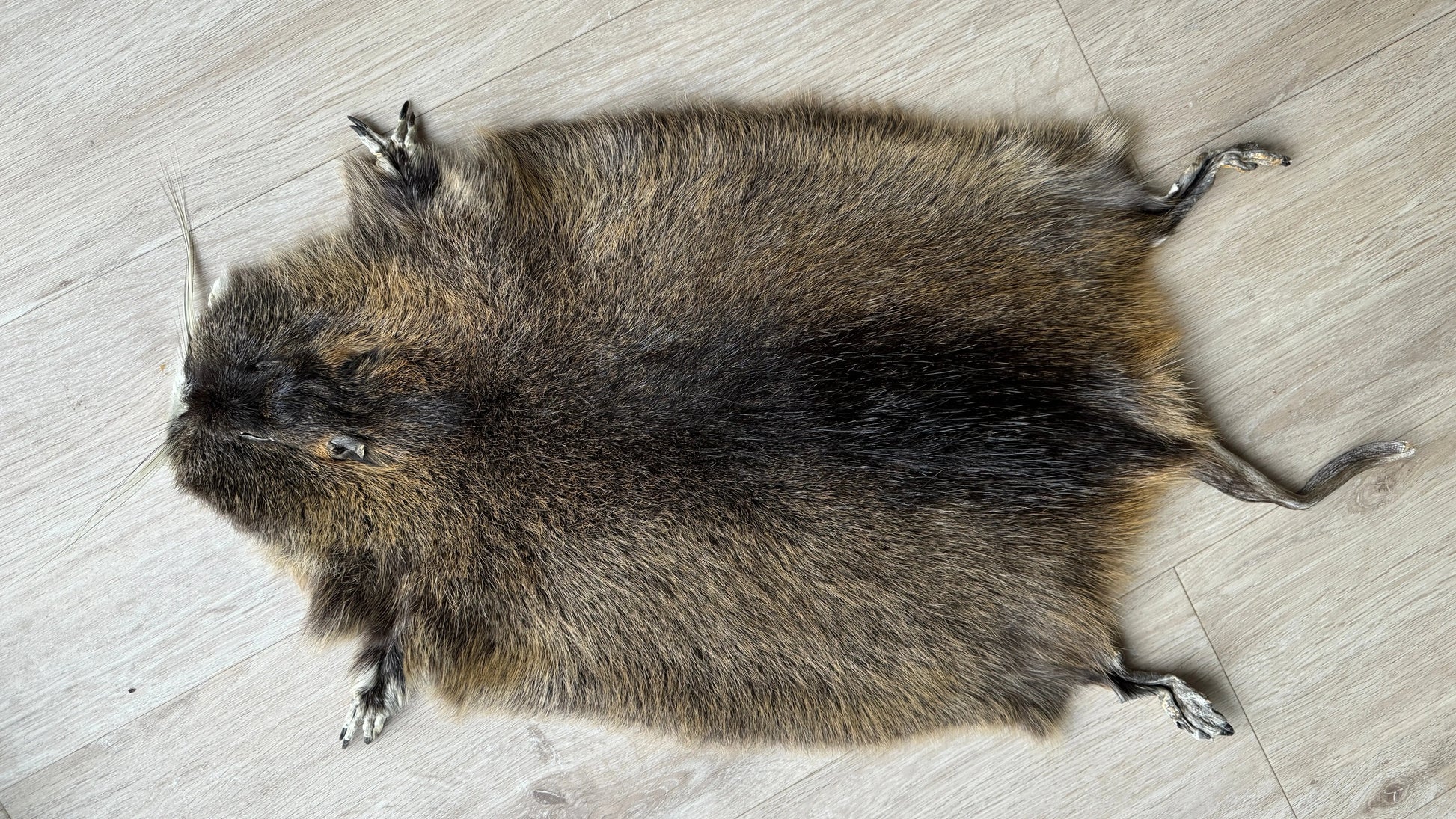 Nutriafell  Ökologisch gegerbt (aus Deutschland)