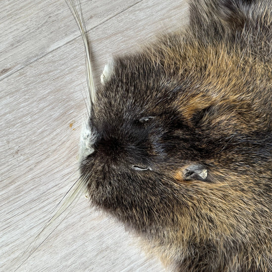 Nutriafell  Ökologisch gegerbt (aus Deutschland)