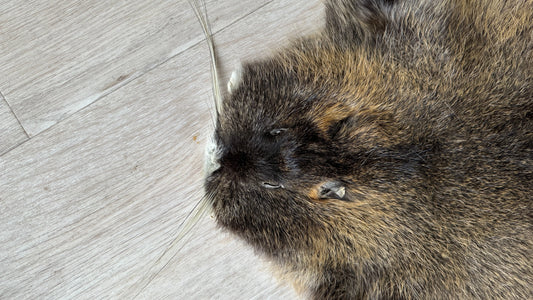 Nutriafell  Ökologisch gegerbt (aus Deutschland)