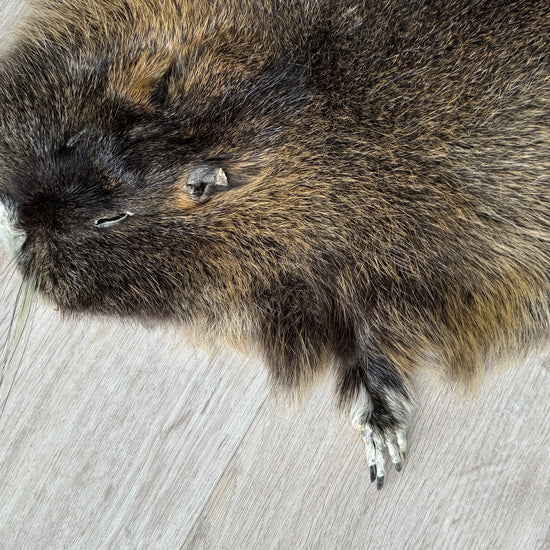 Nutriafell  Ökologisch gegerbt (aus Deutschland)