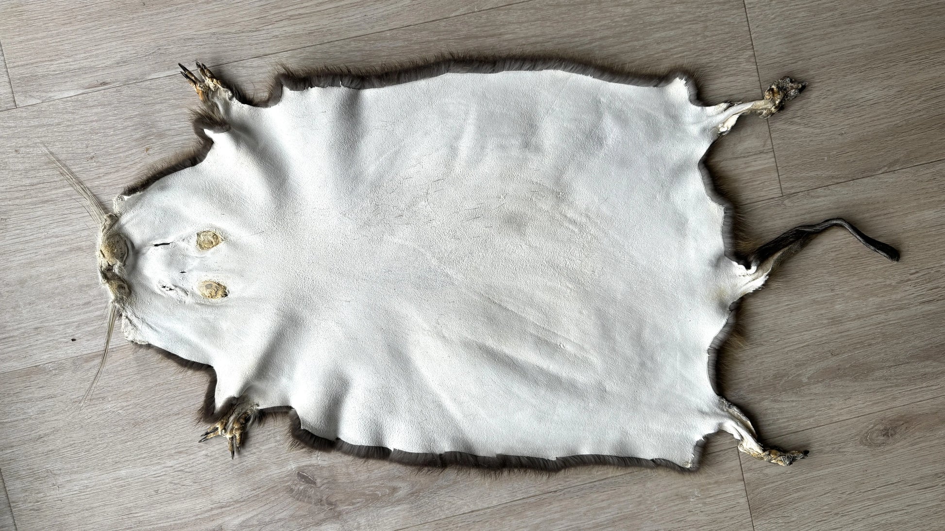 Nutriafell  Ökologisch gegerbt (aus Deutschland)