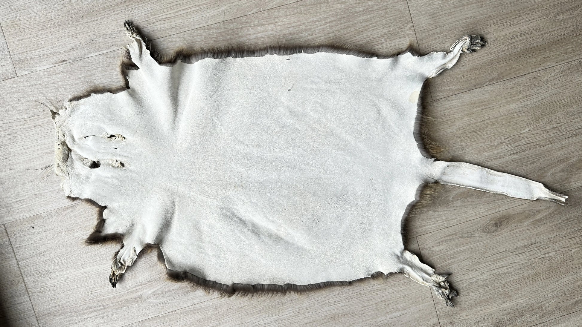 Nutriafell  Ökologisch gegerbt (aus Deutschland)