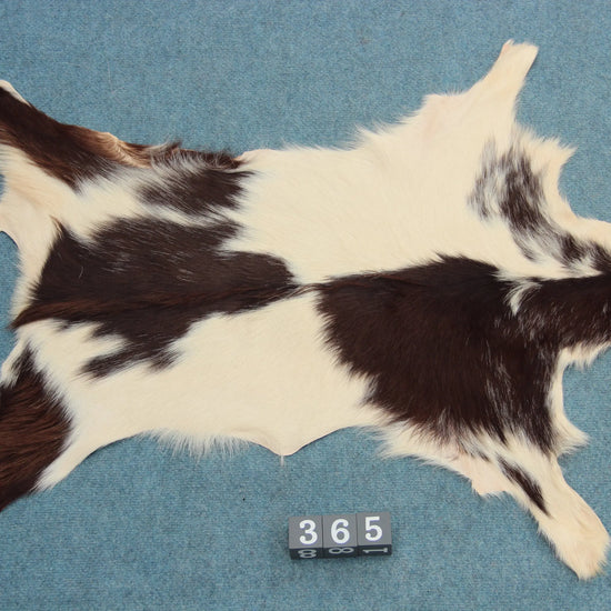 Naturbelassenes Ziegenfell (365)  Ökologisch in Deutschland gegerbt