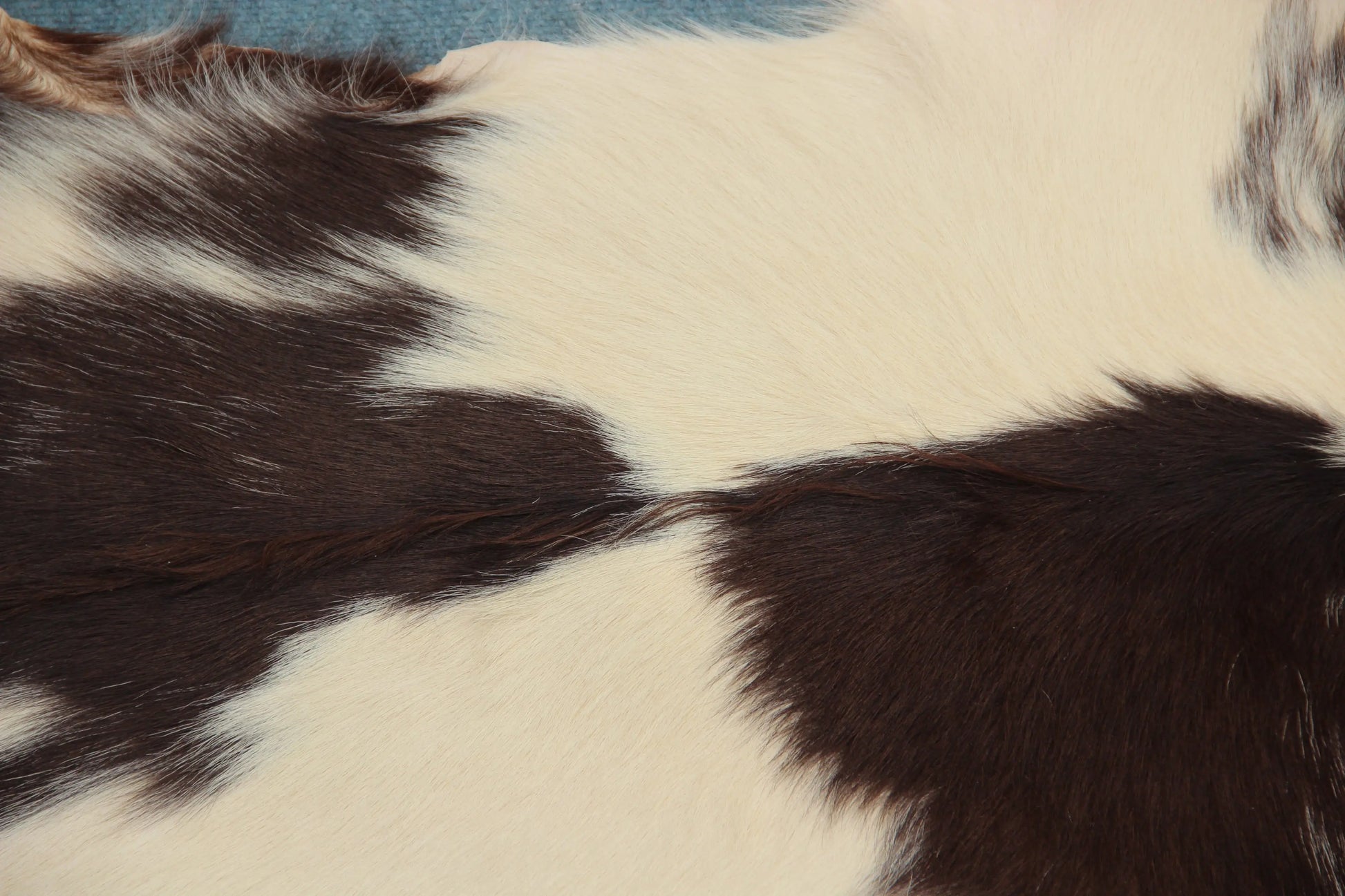 Naturbelassenes Ziegenfell (365)  Ökologisch in Deutschland gegerbt