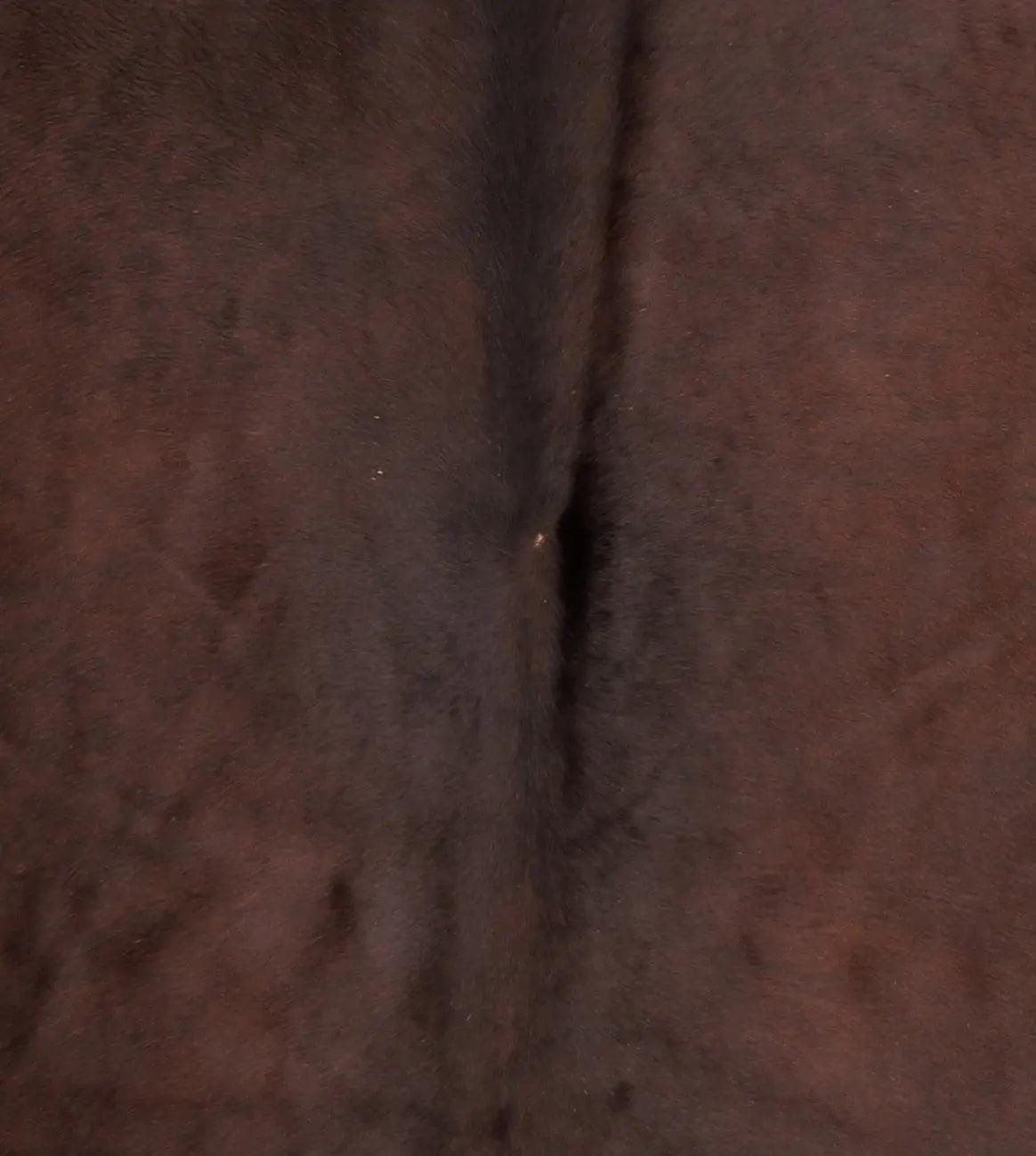 Kuhfell Braun (1413)