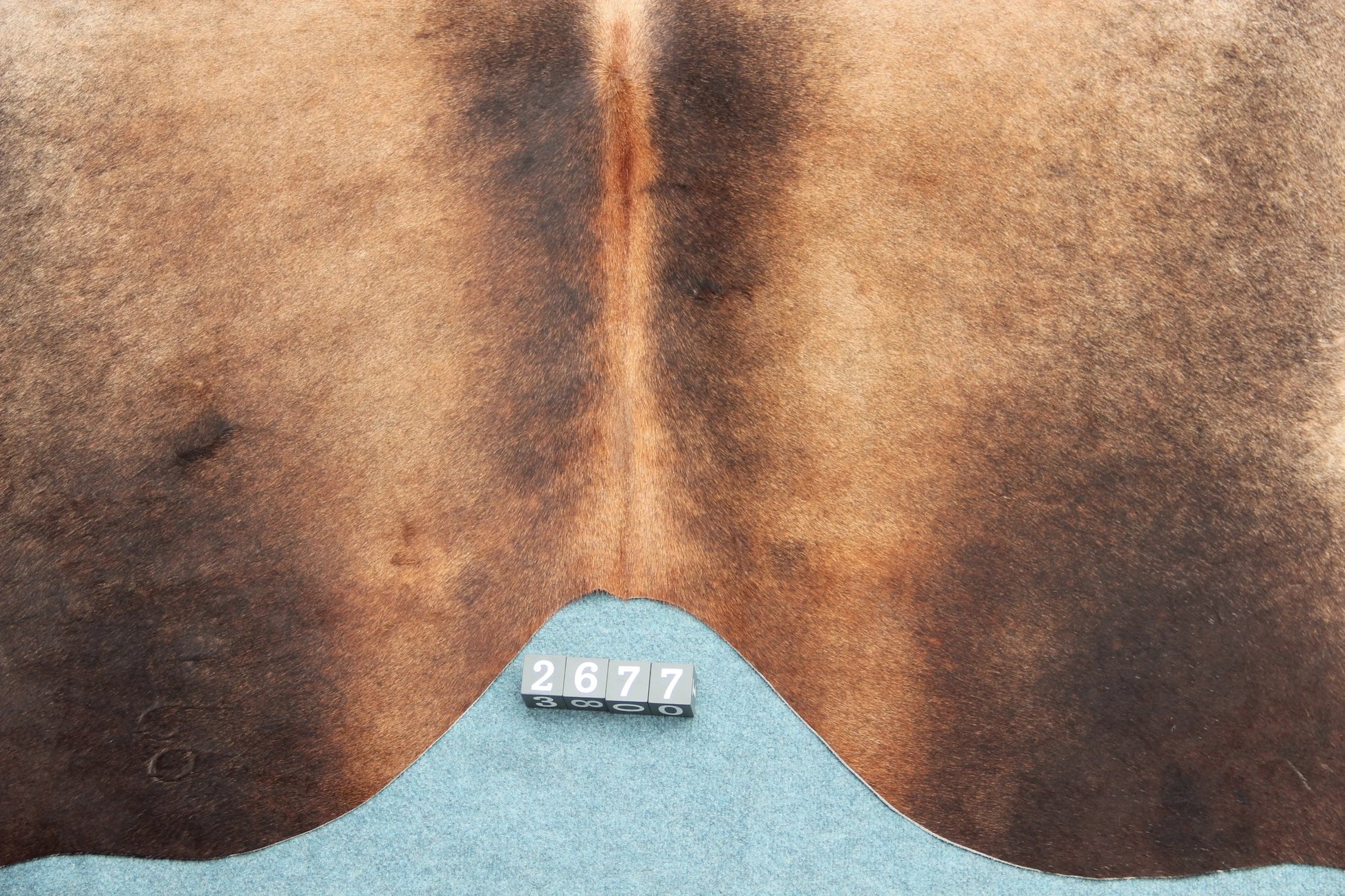 Kuhfell Braun Weiß (2677) 2-3 qm