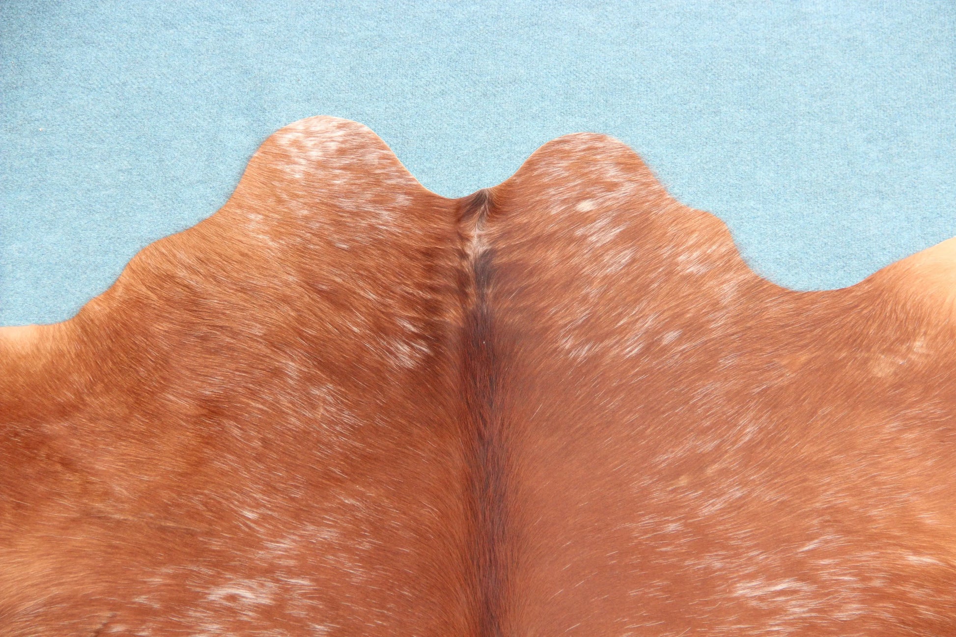 Kuhfell Braun Weiß (2688) 2-3 qm gesprenkelt