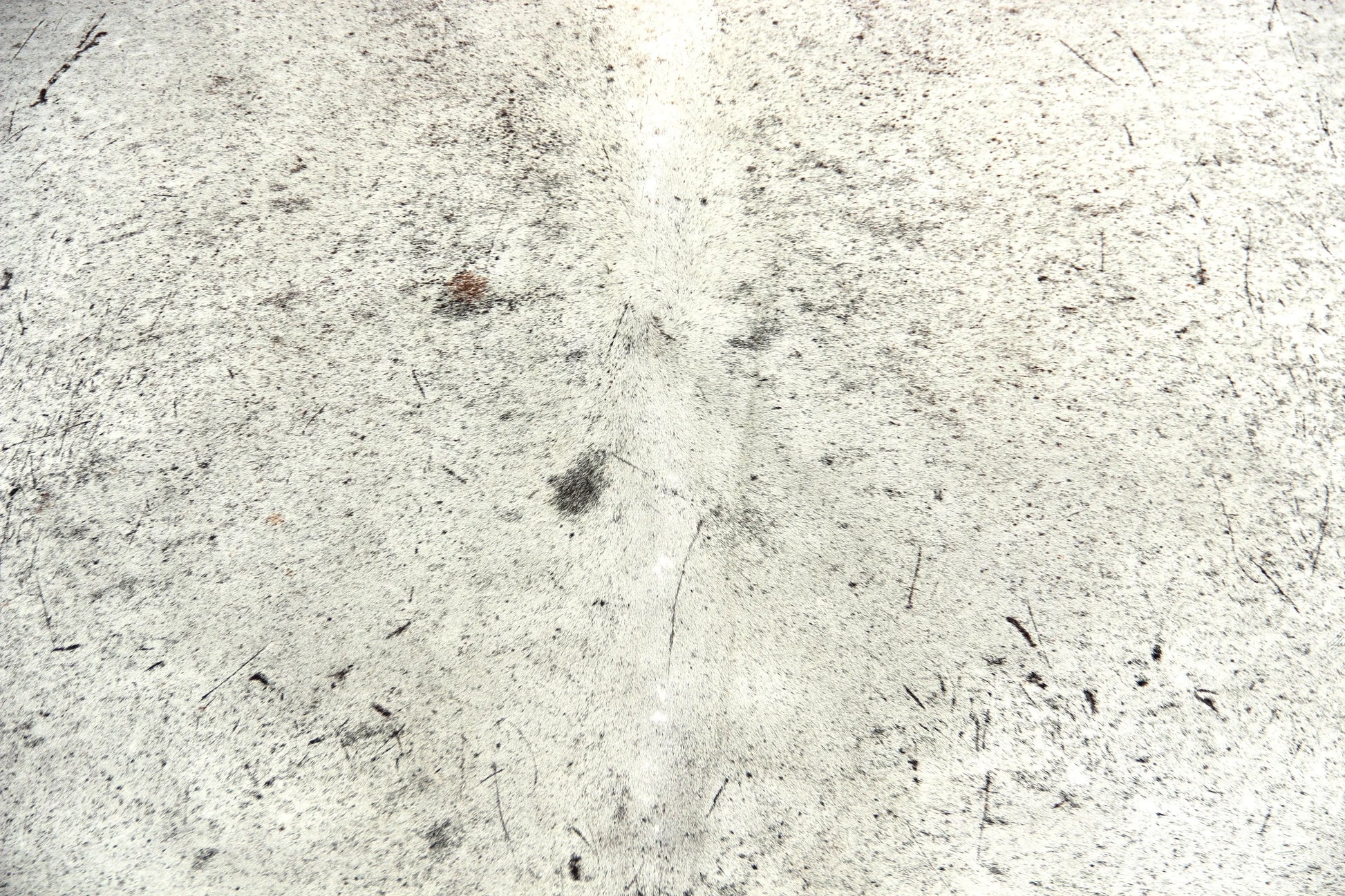 Kuhfell Grau Weiß (2689) 2-3 qm Silber-Schimmer