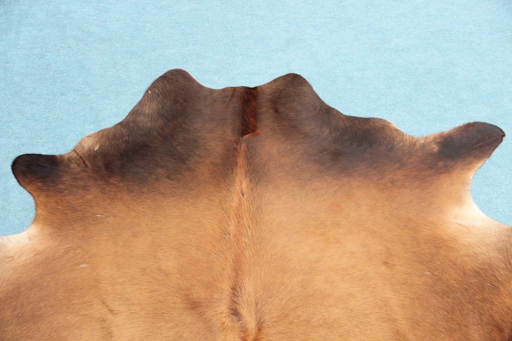 Kuhfell Braun Weiß (2696) 2-3 qm