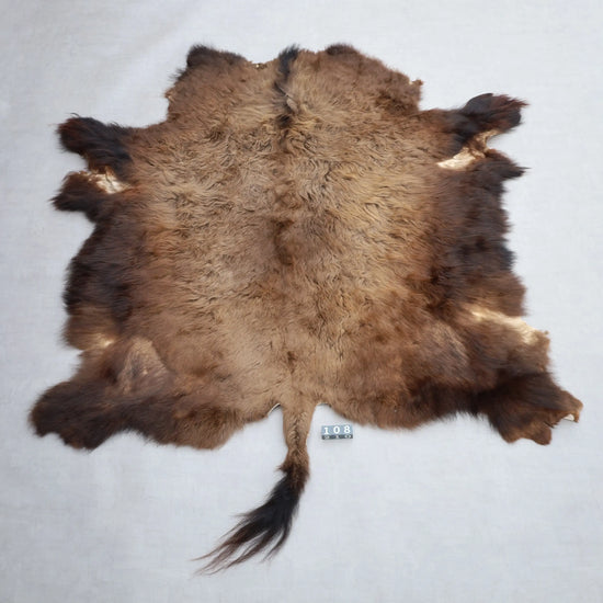 Hochwertiges Bisonfell  Einzigartiges Naturprodukt (ca. 240 x 220 cm) Nr. 108