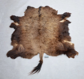 Hochwertiges Bisonfell  Einzigartiges Naturprodukt (ca. 240 x 220 cm) Nr. 108
