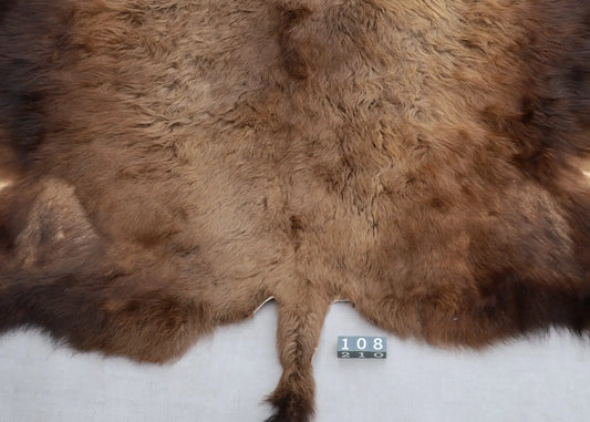 Hochwertiges Bisonfell  Einzigartiges Naturprodukt (ca. 240 x 220 cm) Nr. 108