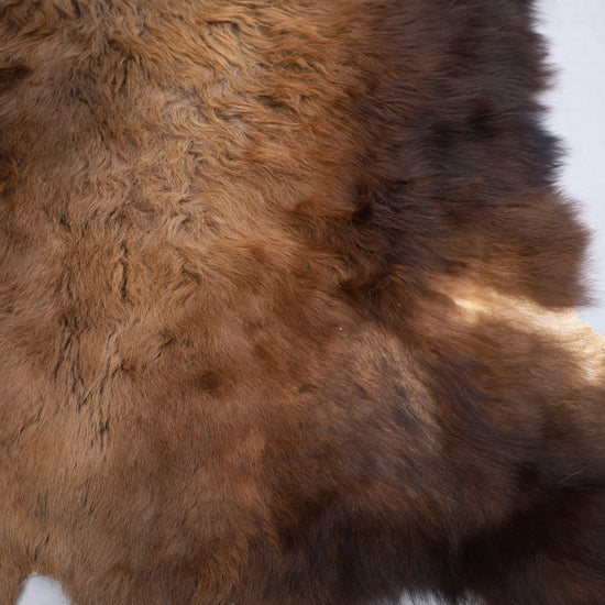 Hochwertiges Bisonfell  Einzigartiges Naturprodukt (ca. 240 x 220 cm) Nr. 108