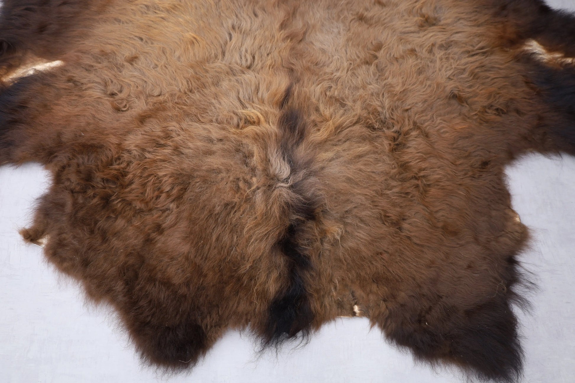 Hochwertiges Bisonfell  Einzigartiges Naturprodukt (ca. 240 x 220 cm) Nr. 108