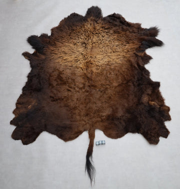 Hochwertiges Bisonfell  Einzigartiges Naturprodukt (ca. 270 x 245 cm) Nr. 111