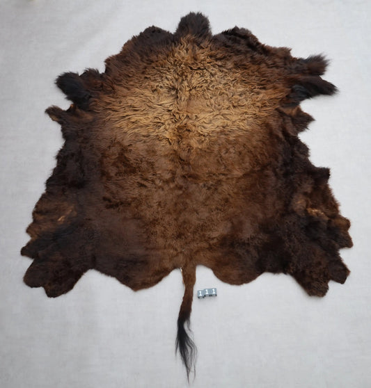 Hochwertiges Bisonfell  Einzigartiges Naturprodukt (ca. 270 x 245 cm) Nr. 111