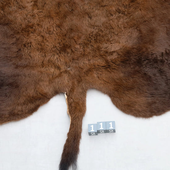 Hochwertiges Bisonfell  Einzigartiges Naturprodukt (ca. 270 x 245 cm) Nr. 111