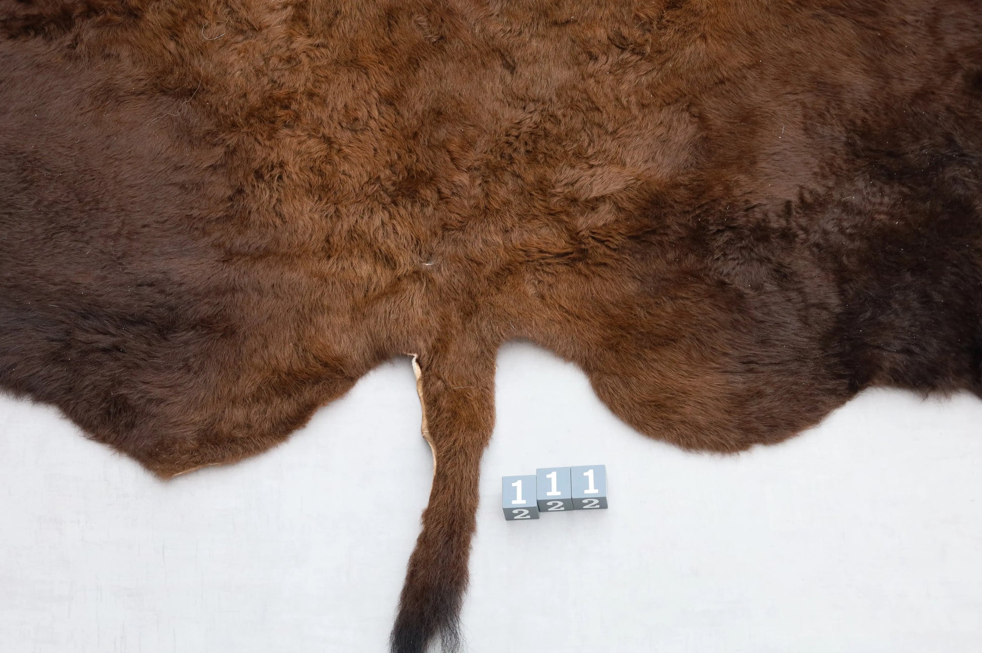 Hochwertiges Bisonfell  Einzigartiges Naturprodukt (ca. 270 x 245 cm) Nr. 111