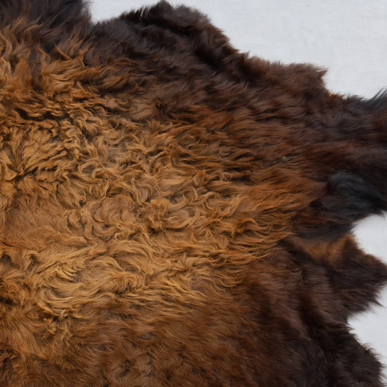 Hochwertiges Bisonfell  Einzigartiges Naturprodukt (ca. 270 x 245 cm) Nr. 111