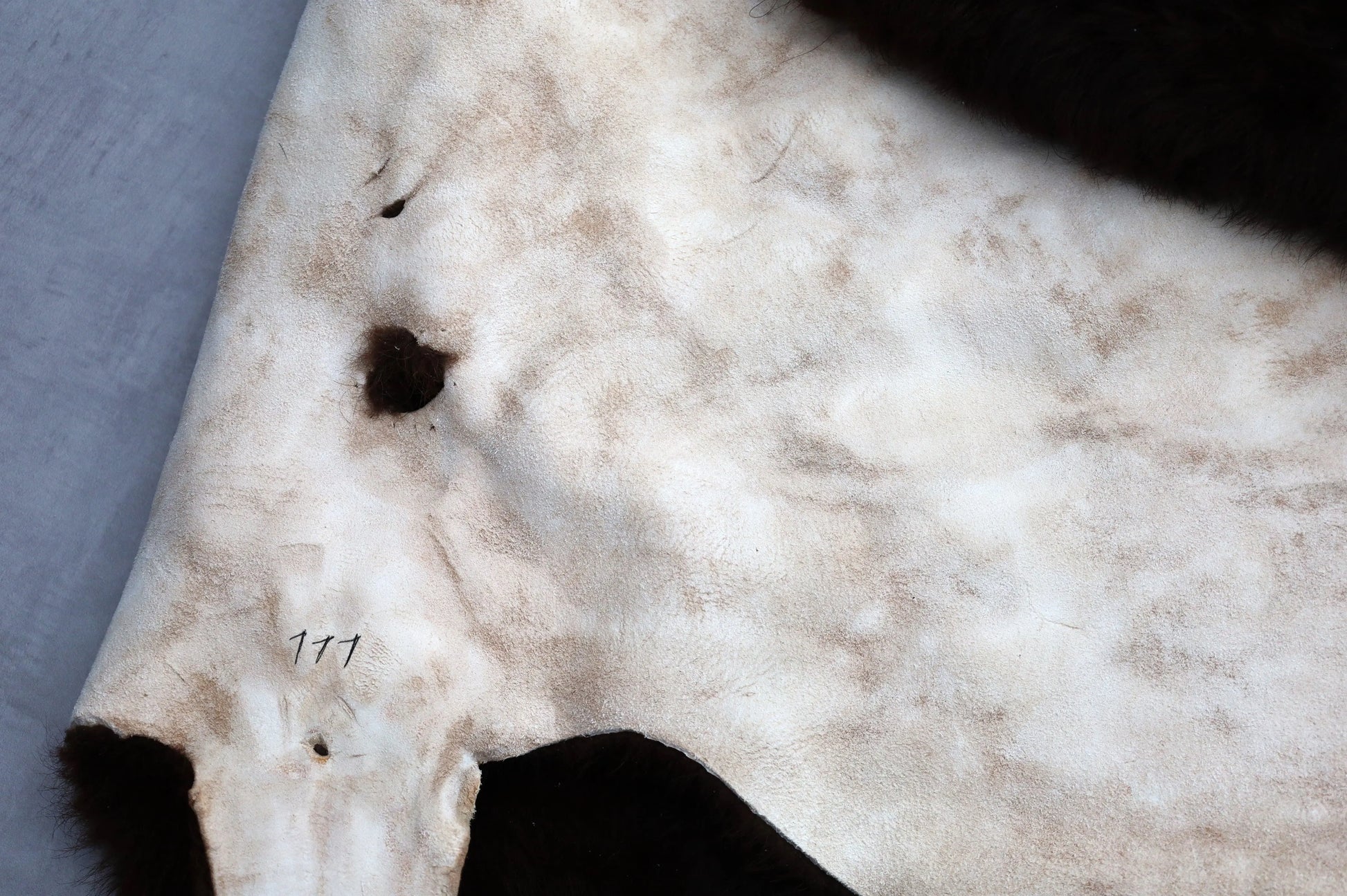 Hochwertiges Bisonfell  Einzigartiges Naturprodukt (ca. 270 x 245 cm) Nr. 111