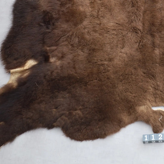 Hochwertiges Bisonfell  Einzigartiges Naturprodukt (ca. 230 x 218 cm) Nr. 112