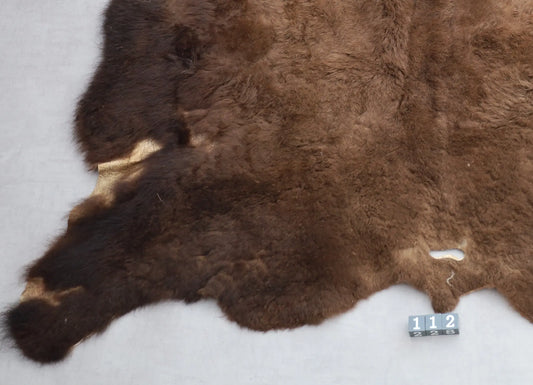 Hochwertiges Bisonfell  Einzigartiges Naturprodukt (ca. 230 x 218 cm) Nr. 112