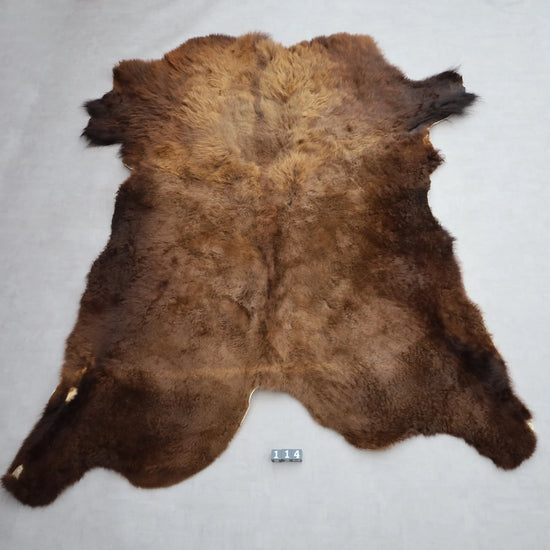 Hochwertiges Bisonfell  Einzigartiges Naturprodukt (ca. 290 x 213 cm) Nr. 114