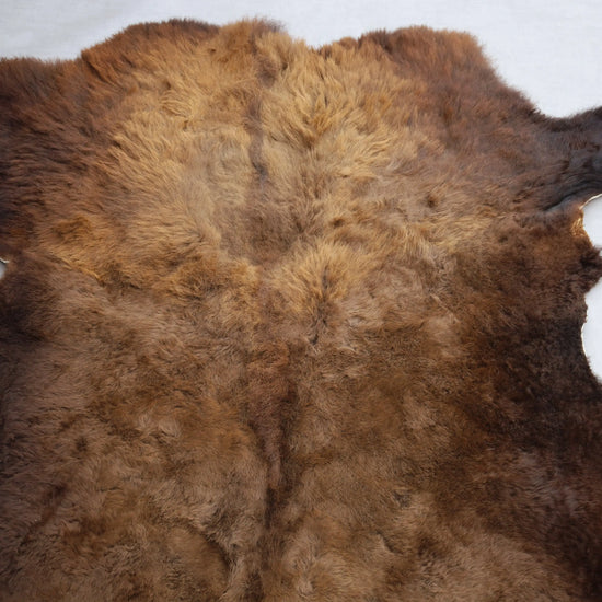 Hochwertiges Bisonfell  Einzigartiges Naturprodukt (ca. 290 x 213 cm) Nr. 114