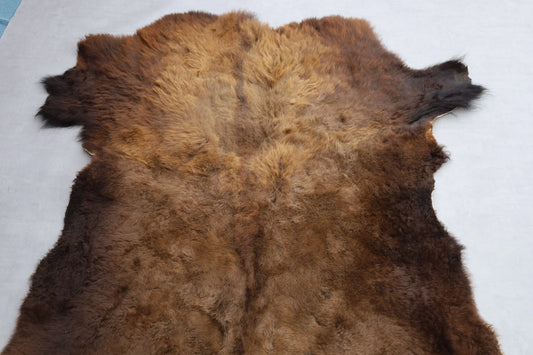 Hochwertiges Bisonfell  Einzigartiges Naturprodukt (ca. 290 x 213 cm) Nr. 114