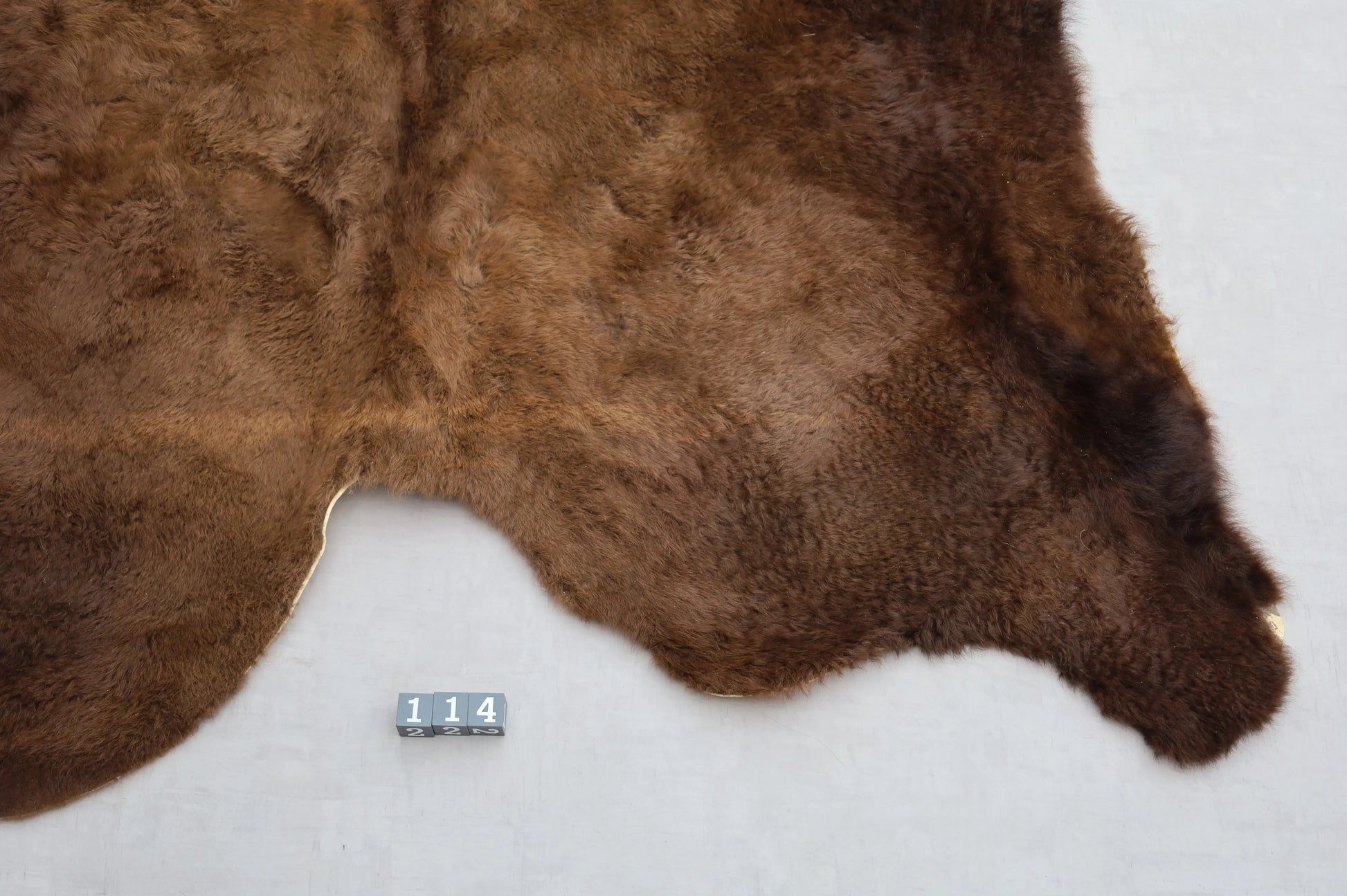 Hochwertiges Bisonfell  Einzigartiges Naturprodukt (ca. 290 x 213 cm) Nr. 114
