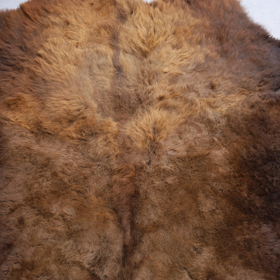 Hochwertiges Bisonfell  Einzigartiges Naturprodukt (ca. 290 x 213 cm) Nr. 114