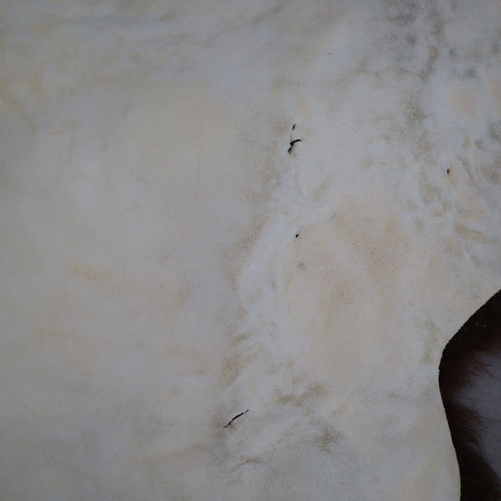 Hochwertiges Bisonfell  Einzigartiges Naturprodukt (ca. 290 x 213 cm) Nr. 114