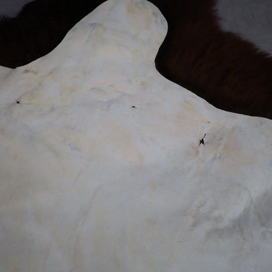 Hochwertiges Bisonfell  Einzigartiges Naturprodukt (ca. 290 x 213 cm) Nr. 114