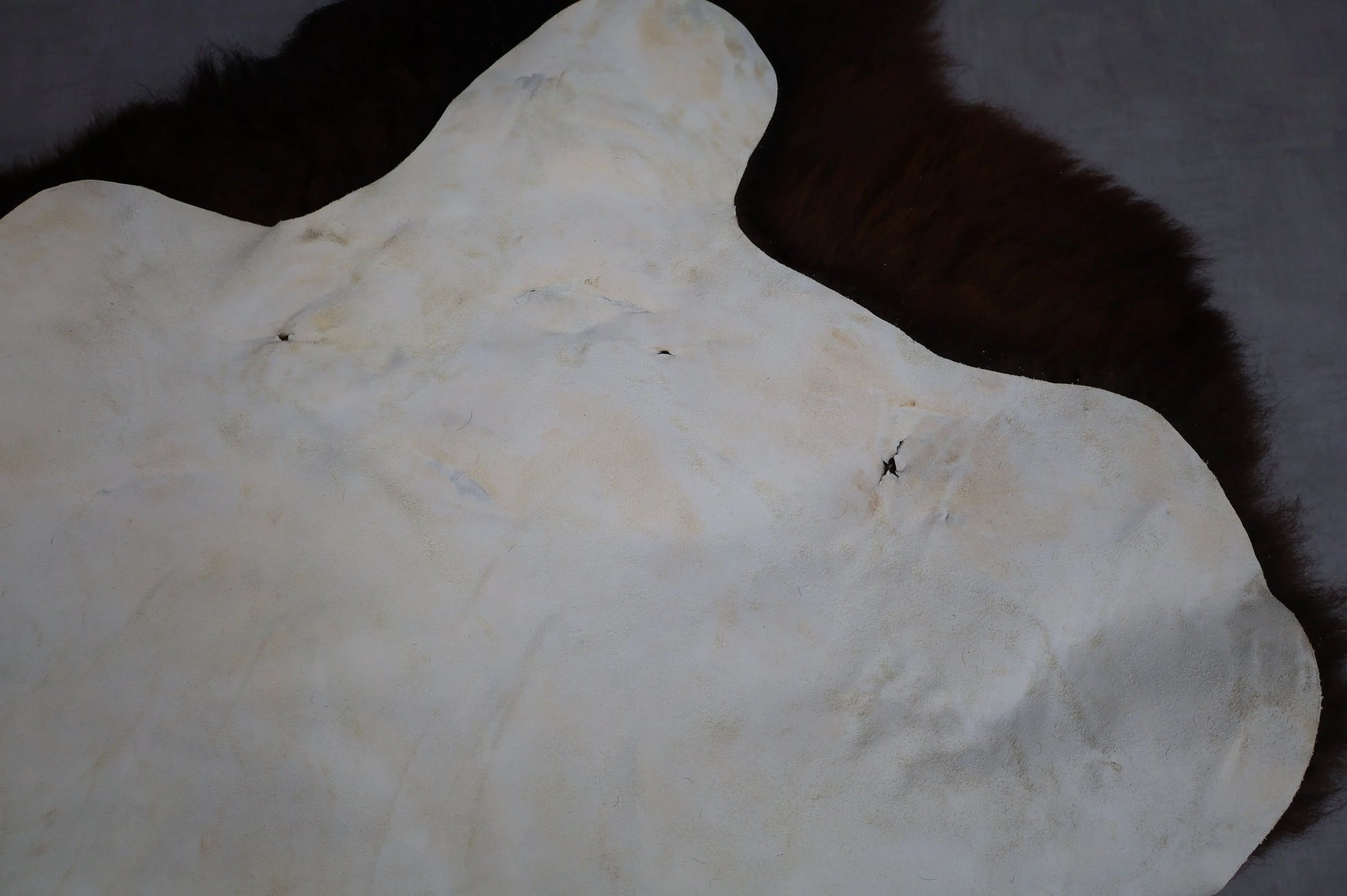 Hochwertiges Bisonfell  Einzigartiges Naturprodukt (ca. 290 x 213 cm) Nr. 114