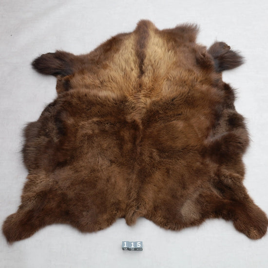Hochwertiges Bisonfell  Einzigartiges Naturprodukt (ca. 265 x 166 cm) Nr. 115