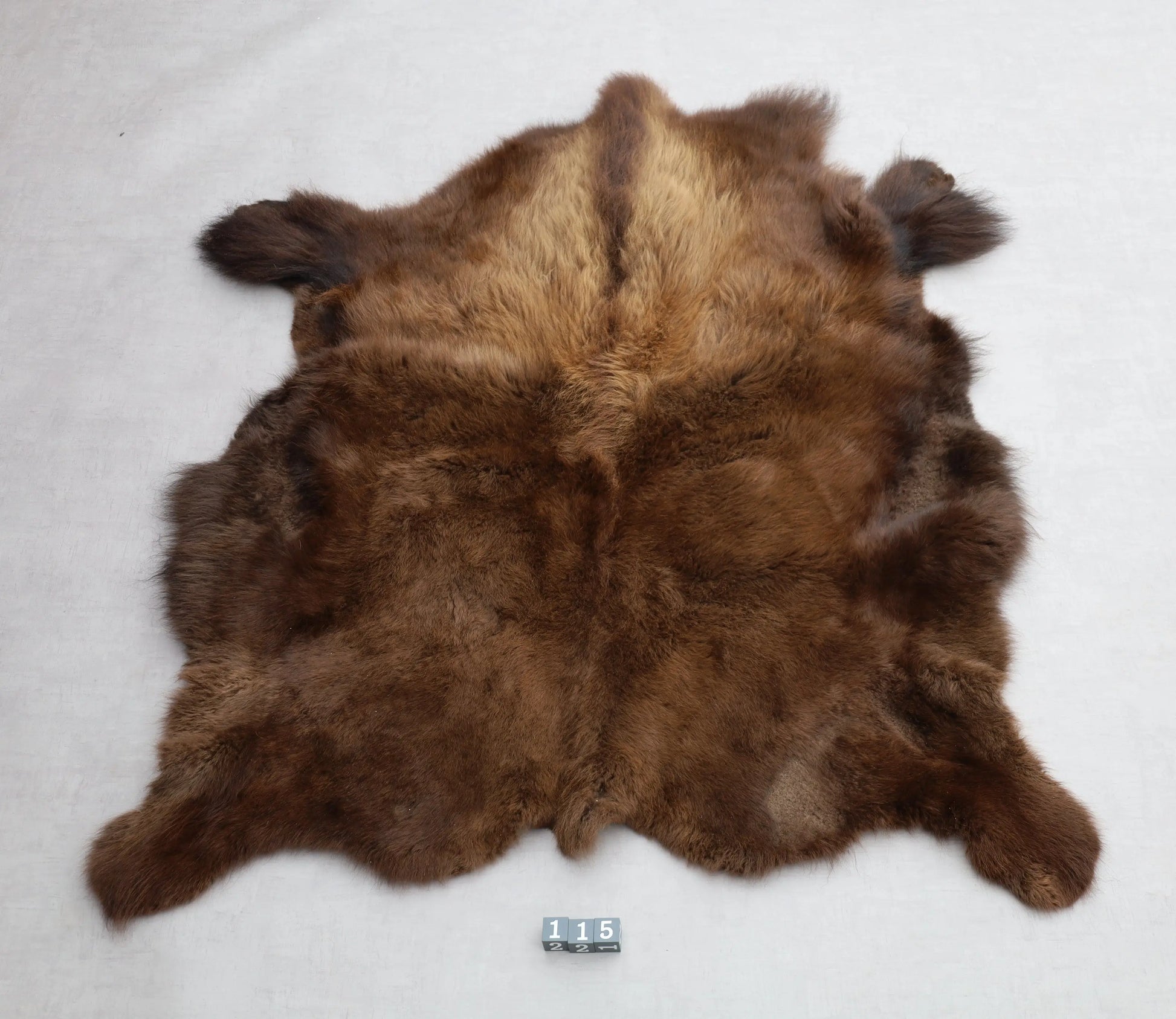 Hochwertiges Bisonfell  Einzigartiges Naturprodukt (ca. 265 x 166 cm) Nr. 115