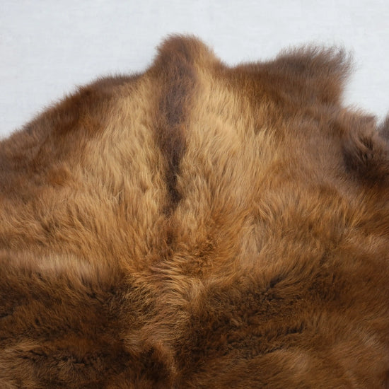 Hochwertiges Bisonfell  Einzigartiges Naturprodukt (ca. 265 x 166 cm) Nr. 115