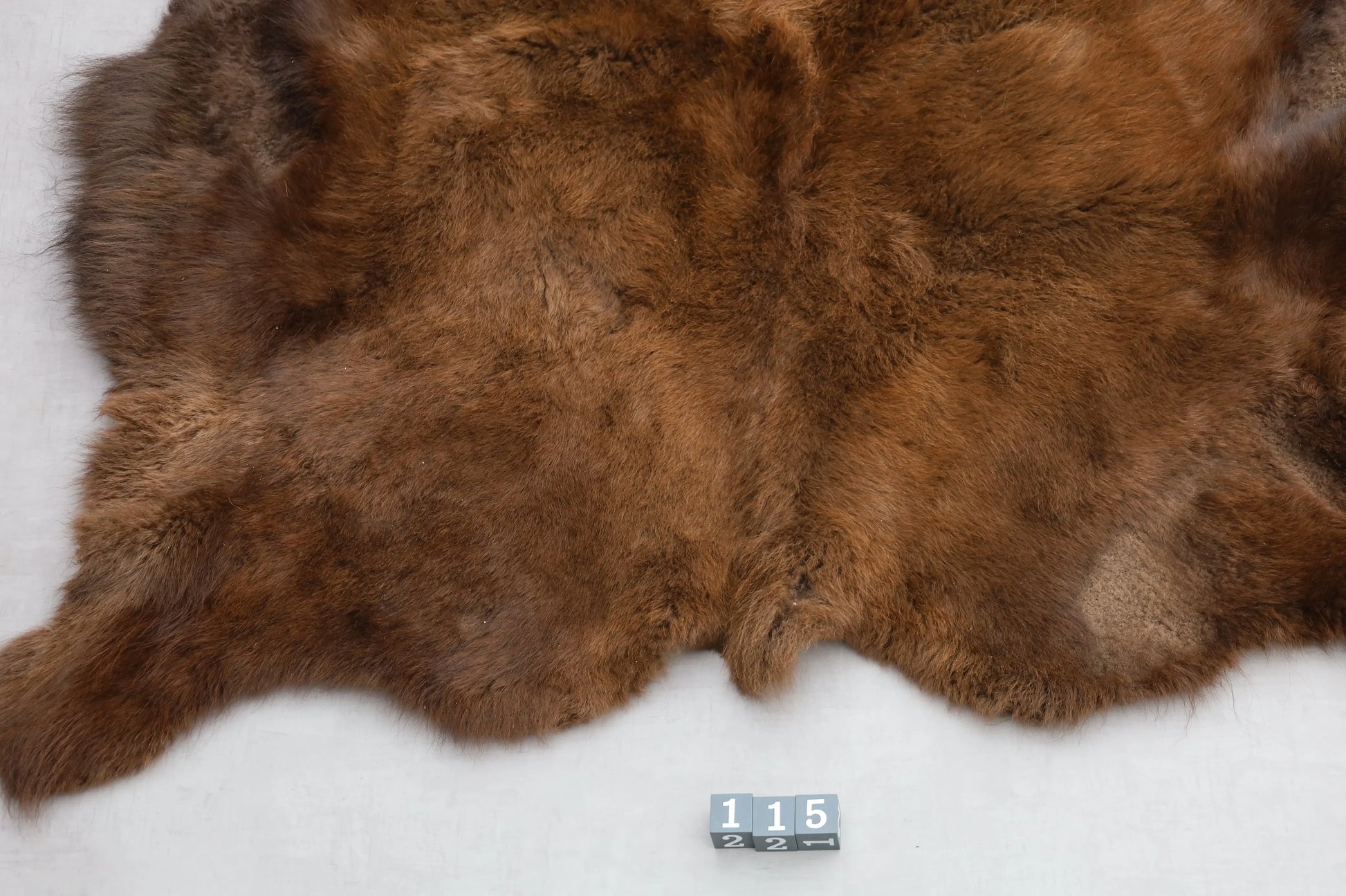 Hochwertiges Bisonfell  Einzigartiges Naturprodukt (ca. 265 x 166 cm) Nr. 115