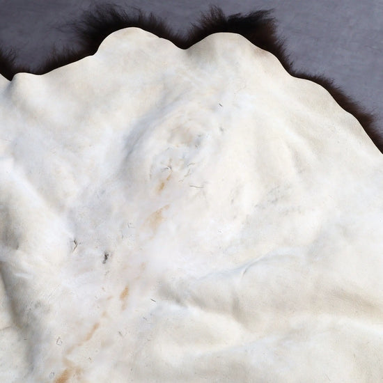 Hochwertiges Bisonfell  Einzigartiges Naturprodukt (ca. 265 x 166 cm) Nr. 115