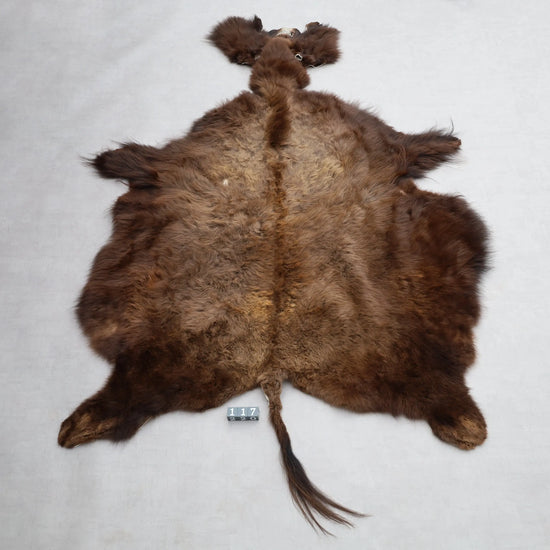 Hochwertiges Bisonfell  Einzigartiges Naturprodukt mit Maske (ca. 260 x 175 cm) Nr. 117