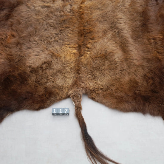 Hochwertiges Bisonfell  Einzigartiges Naturprodukt mit Maske (ca. 260 x 175 cm) Nr. 117