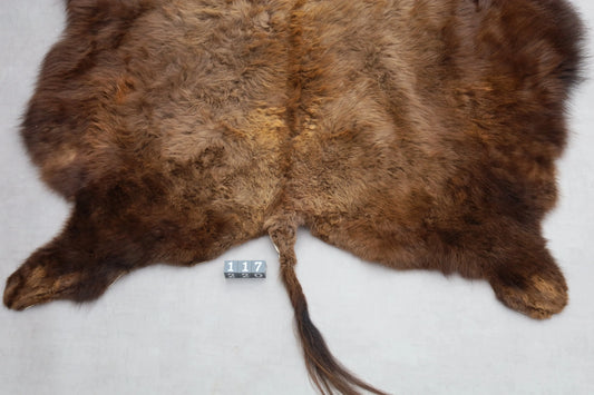 Hochwertiges Bisonfell  Einzigartiges Naturprodukt mit Maske (ca. 260 x 175 cm) Nr. 117