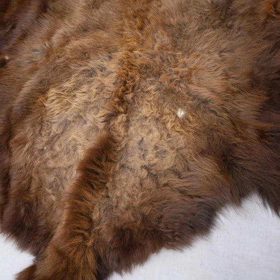 Hochwertiges Bisonfell  Einzigartiges Naturprodukt mit Maske (ca. 260 x 175 cm) Nr. 117