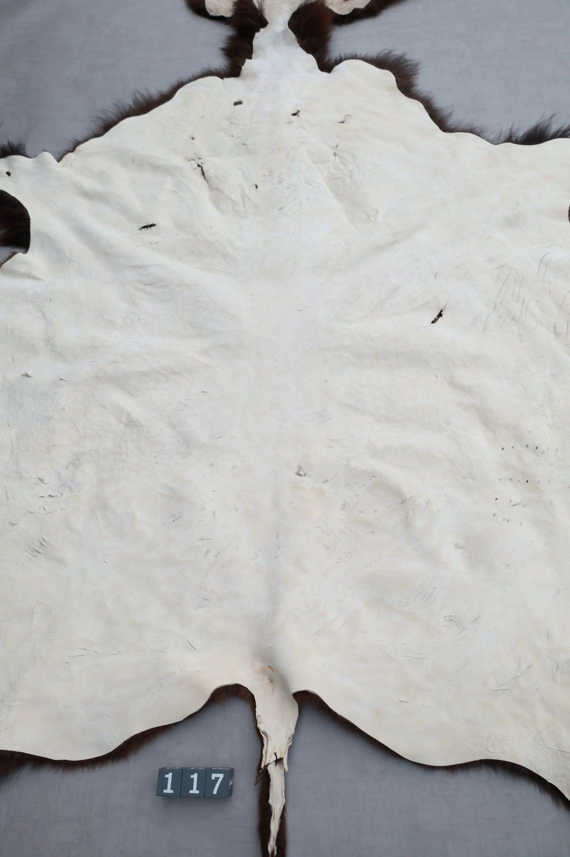 Hochwertiges Bisonfell  Einzigartiges Naturprodukt mit Maske (ca. 260 x 175 cm) Nr. 117