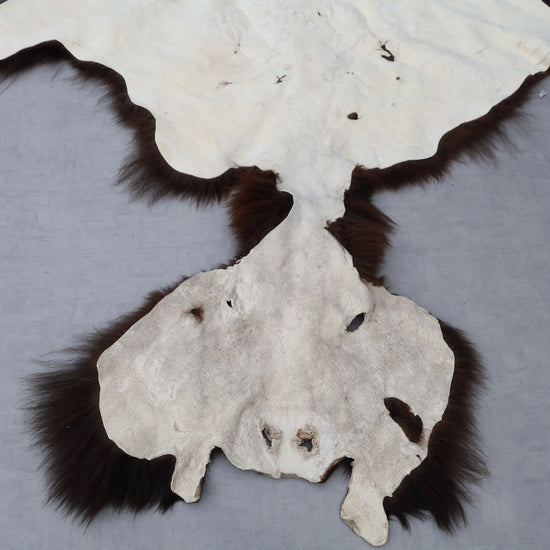 Hochwertiges Bisonfell  Einzigartiges Naturprodukt mit Maske (ca. 260 x 175 cm) Nr. 117