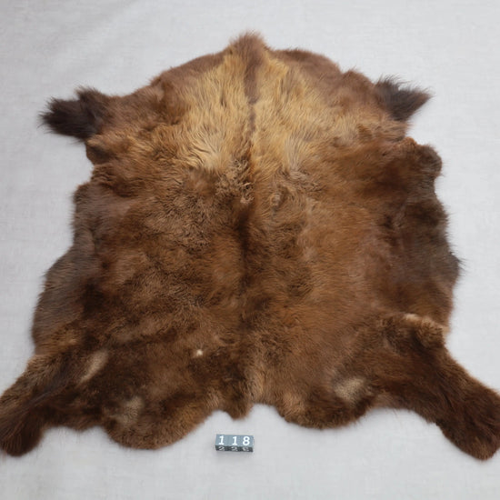 Hochwertiges Bisonfell  Einzigartiges Naturprodukt (ca. 213 x 175 cm) Nr. 118