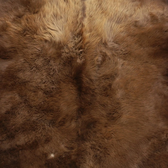 Hochwertiges Bisonfell  Einzigartiges Naturprodukt (ca. 213 x 175 cm) Nr. 118