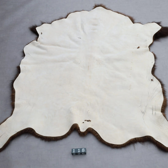 Hochwertiges Bisonfell  Einzigartiges Naturprodukt (ca. 213 x 175 cm) Nr. 118